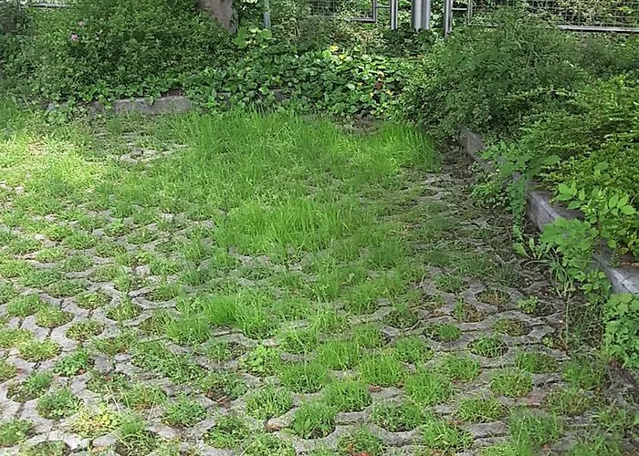 Welser Lejlighed Ybbsitz